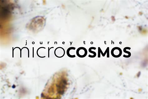  Journey to the Microcosmos: A Thrilling Dive into the Hidden World of Cells!